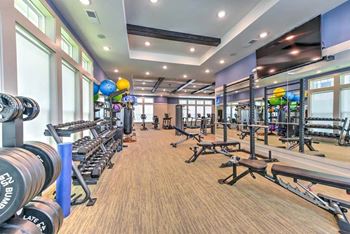 A gym with weights and other exercise equipment