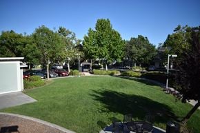 Davis townhouse for rent - A backyard with a fire pit and a tree.