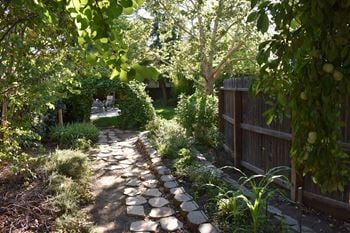 Community garden