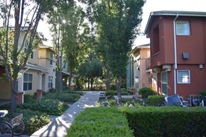 Davis townhouse for rent - A tree-lined pathway leads to a building.
