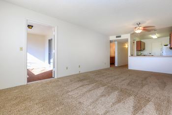 Plush carpet flooring