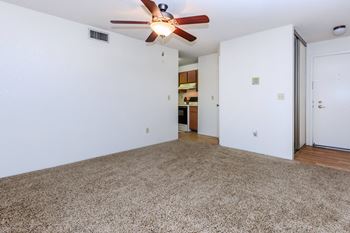 Ceiling fans*