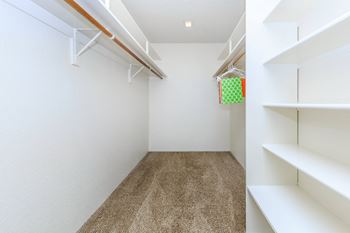Oversized closets with built in shelving