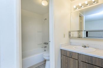 Shower tub combo