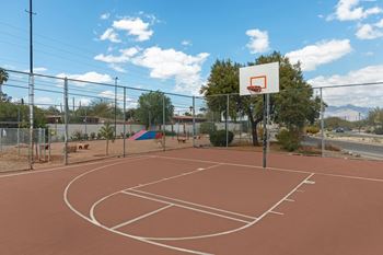 Basketball court