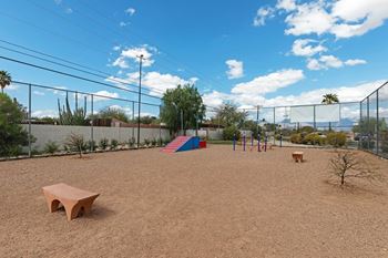 Large playful dog park
