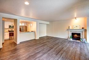 Bellevue apartment for rent - 12 Central Square living room with wood flooring and fireplace
