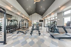 Manor apartment for rent - A spacious gym with a variety of equipment including treadmills, weights, and exercise machines.