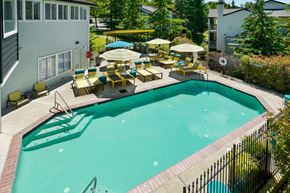 Renton apartment for rent - Echo Mountain Apartments Swimming Pool