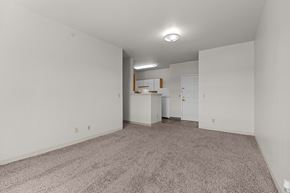 Broomfield apartment for rent - A spacious room with a carpeted floor and white walls.