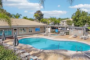 Murrieta apartment for rent - Murrieta, CA, Apartments With In-Unit Washer and Dryer - Waterstone at Murrieta - Outdoor Swimming Pool With Curved Sundeck, Lounge Chairs, Umbrellas, Palm Trees, and Nearby Apartment Buildings