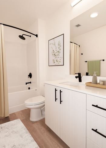 Black fixtures