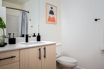 Black fixtures