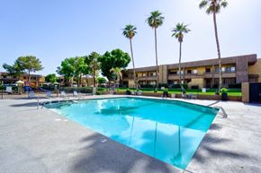 Phoenix apartment for rent - A large swimming pool surrounded by palm trees and apartment buildings.