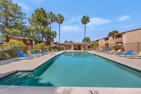 Tucson apartment for rent - A swimming pool surrounded by palm trees and lounge chairs.