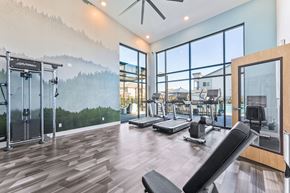 Carson City apartment for rent - the private gym with weights and cardio equipment at the preserve at greatstone