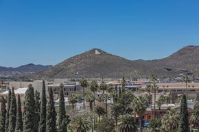 Tucson apartment for rent - A mountain with a white peak rises over a town with palm trees at Herbert Residential, Tucson, 85701