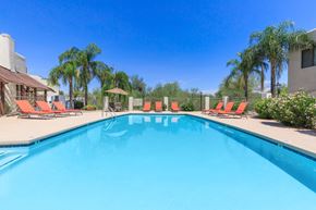 Tucson apartment for rent - A swimming pool surrounded by orange lounge chairs and palm trees.