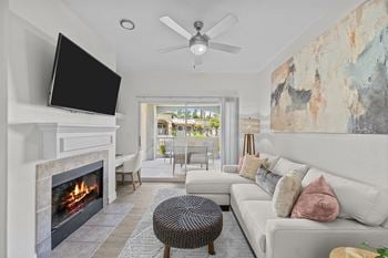 Wood-burning fireplace*