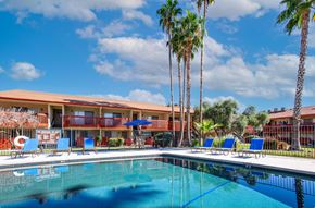 Tucson apartment for rent - A swimming pool in front of a building with palm trees.