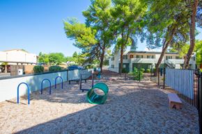 Tucson apartment for rent - Dog Park at Icon on Pima, Tucson, AZ 85712