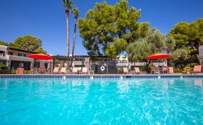 Tucson apartment for rent - Sparkling Pool at Icon on Pima, Arizona, 85712