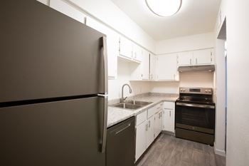 Stainless steel appliances*