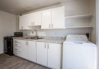 Washer and dryer in-home