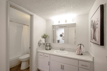 Shower tub combo