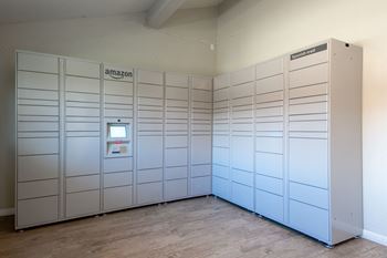 Amazon package hub lockers