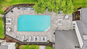 Portland apartment for rent - An aerial view of a swimming pool surrounded by lounge chairs and trees.