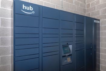 Amazon shipping and delivery hub