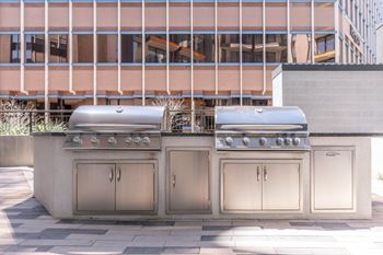 Gas barbecue grills with picnic area