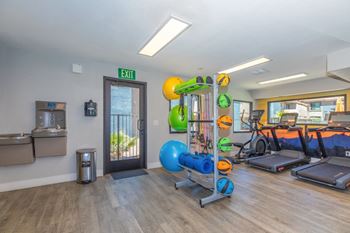 Fitness center with cardio equipment and exercise balls