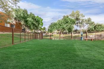 Dog park
