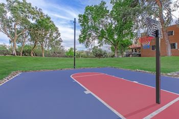 Basketball court