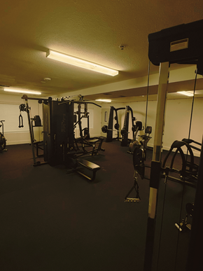 Kennewick apartment for rent - A gym with a variety of equipment including a squat rack, bench press, and a rowing machine.