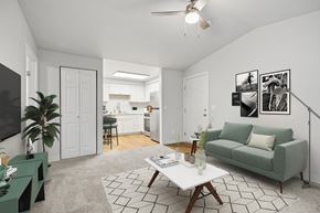 Everett apartment for rent - A living room with a green couch, a coffee table, and a television.