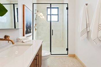 Luxury shower with tile surround