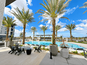 Chula Vista apartment for rent - A pool surrounded by palm trees and sun loungers.