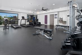 Layton apartment for rent - A spacious gym with a variety of equipment including treadmills, weights, and a bench press.