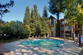 Walnut Creek apartment for rent - Atrium Downtown swimming pool Apartments in Walnut Creek CA