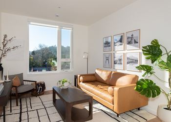Roller shades