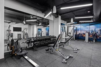 Fitness studio with cardio and free weights