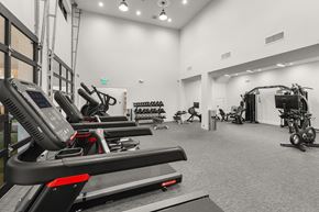 Port Orchard apartment for rent - A gym with treadmills, elliptical machines, and other exercise equipment.