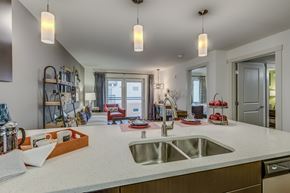 Bellevue apartment for rent - a kitchen with a sink and a view into a living room