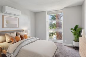 Walnut Creek apartment for rent - A bedroom with a large bed and a window overlooking a forest.