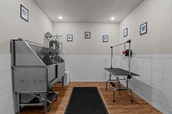 Dog park and pet spa