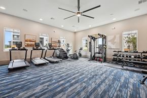 San Marcos apartment for rent - Alta Center Point Apartments in San Marcos, Texas Fitness Center