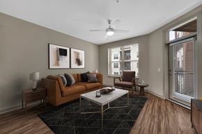 Charlotte apartment for rent - Alton Optimist Park Apartments in Charlotte, North Carolina Model Living Room